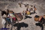 قاچاق روزانه ۱۰میلیون لیتر بنزین از کشور ، آینده تلخ یارانه ۱۲.۵ میلیارد دلاری بنزین