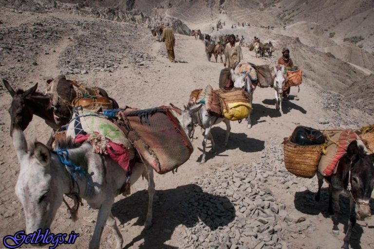 قاچاق روزانه ۱۰میلیون لیتر بنزین از کشور ، آینده تلخ یارانه ۱۲.۵ میلیارد دلاری بنزین